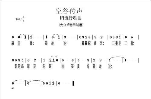 空谷传声