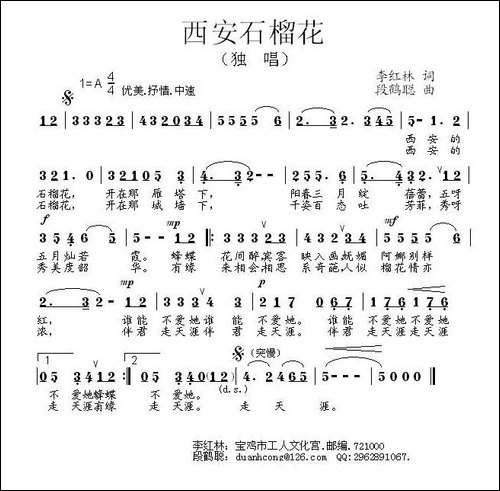 西安石榴花