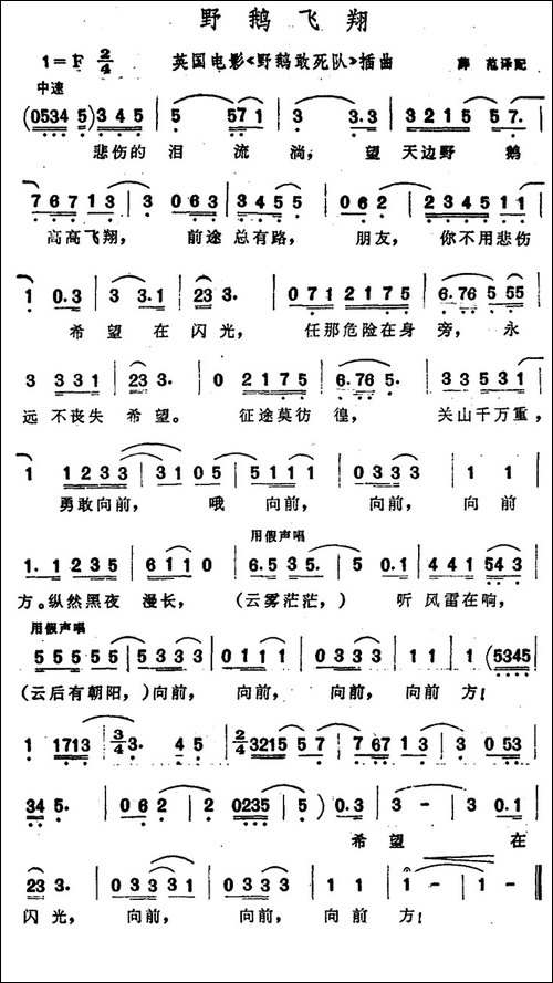 [英]野鹅飞翔