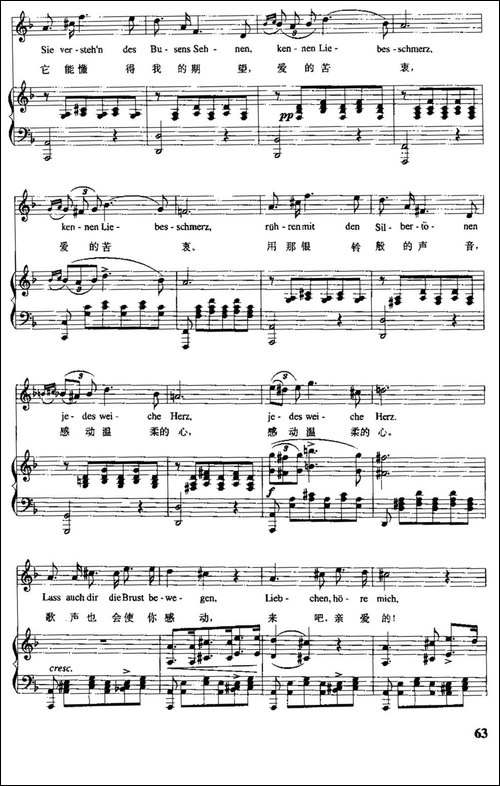 天鹅之歌-4、小夜曲-中外文对照、正谱