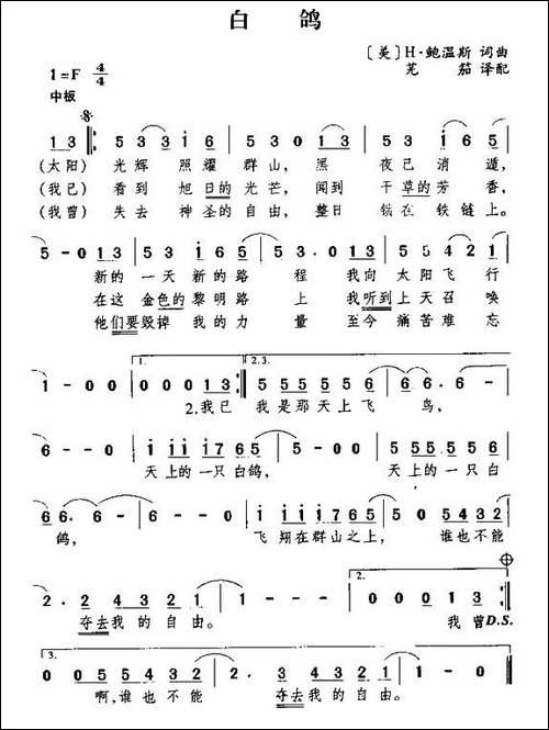 [美]白鸽