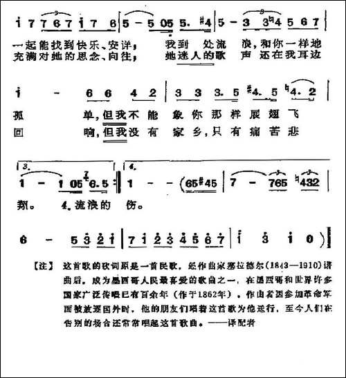 [墨西哥]燕子