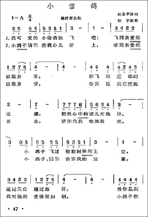 [墨西哥]小信鸽