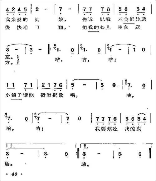 [墨西哥]小信鸽
