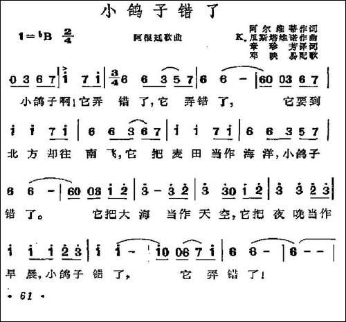 [阿根廷]小鸽子错了