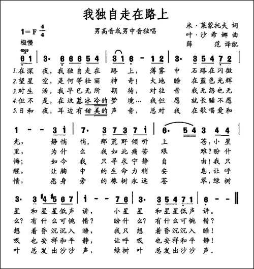 我独自走在路上