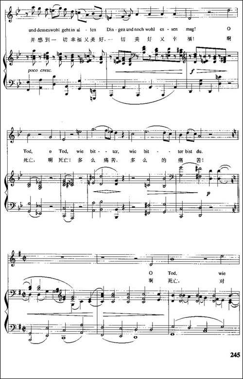 [德]死亡，赐予绝望者幸福-《庄严曲》之三-中外文对照、正谱