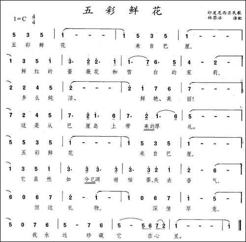 [印尼]五彩鲜花