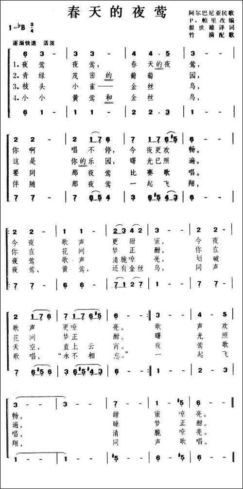 春天的夜莺-阿尔巴尼亚