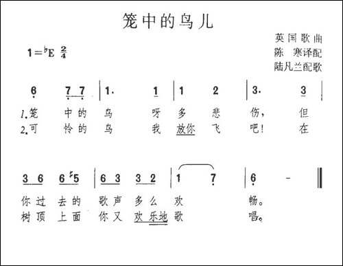 笼中的鸟儿-英