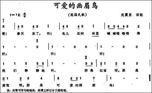 [英]可爱的画眉鸟-