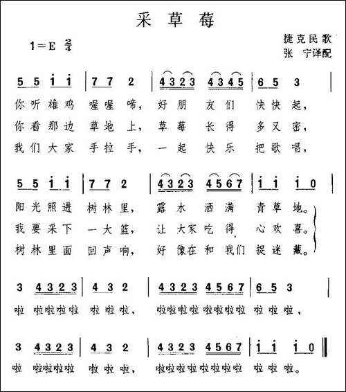[捷克]采草莓