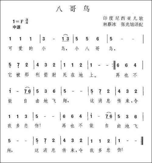 八哥鸟-印尼