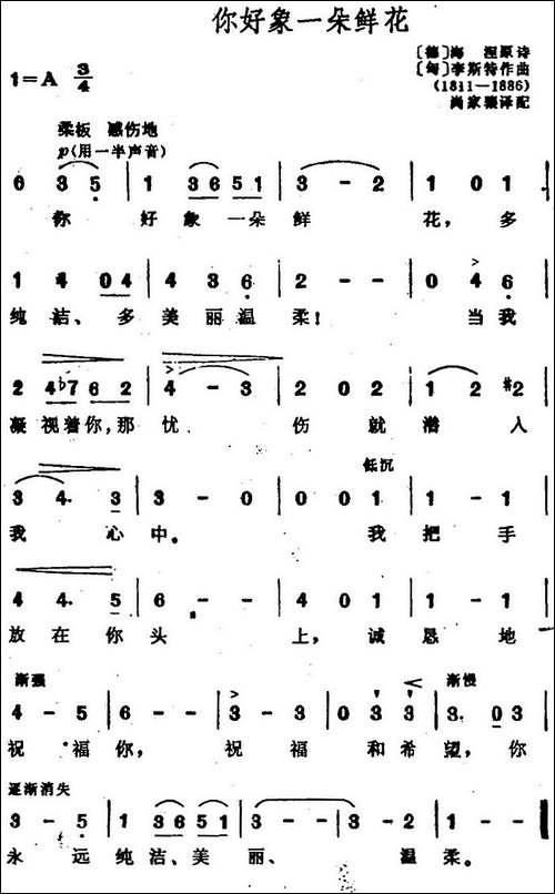 [匈、德]你好像一朵鲜花