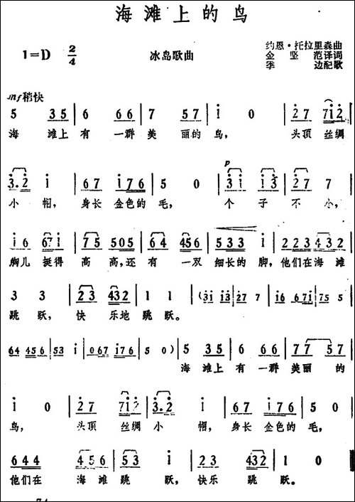 [冰岛]海滩上的鸟-