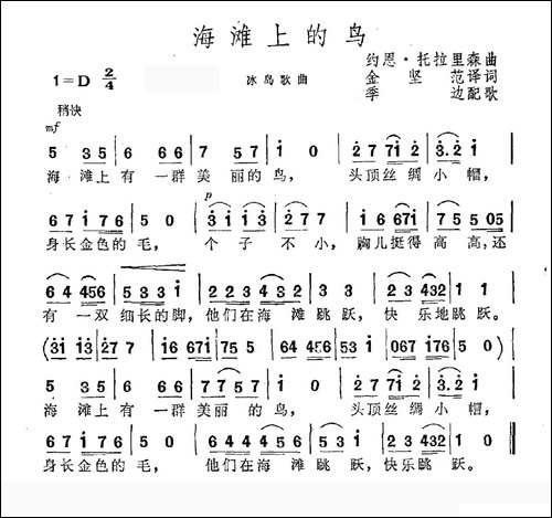 [冰岛]海滩上的鸟-
