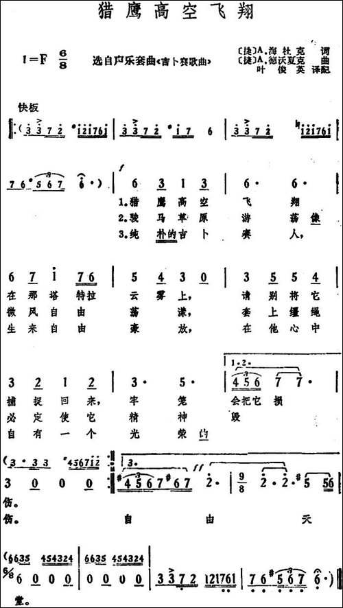 [捷]猎鹰高空飞翔-
