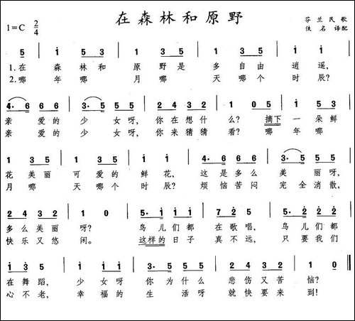 在森林和原野-芬兰