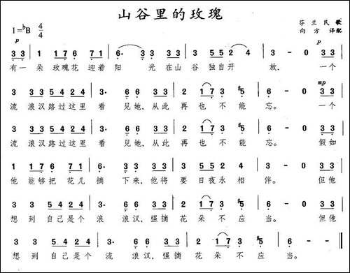 山谷里的玫瑰-芬兰