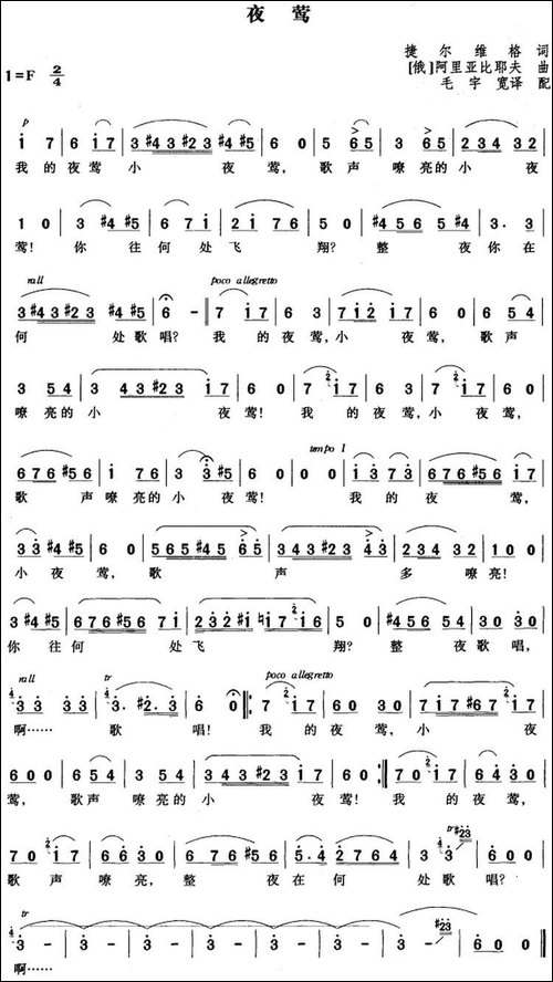 夜莺-