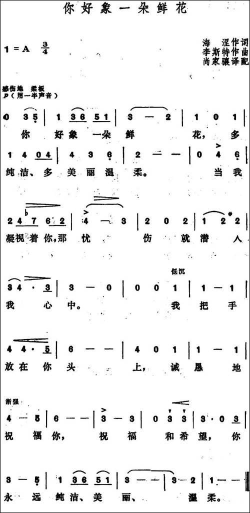 [匈]你好象一朵鲜花-
