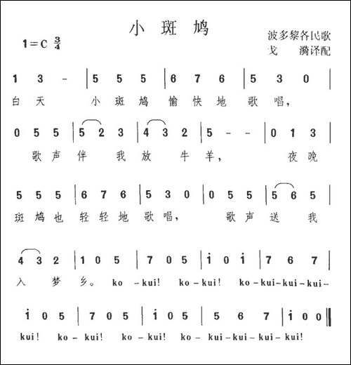 小斑鸠-波多黎各