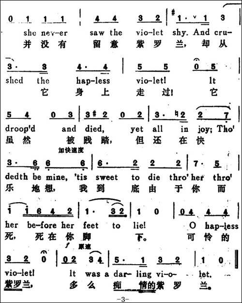 [奥]紫罗兰-The-Violet-汉英文对照