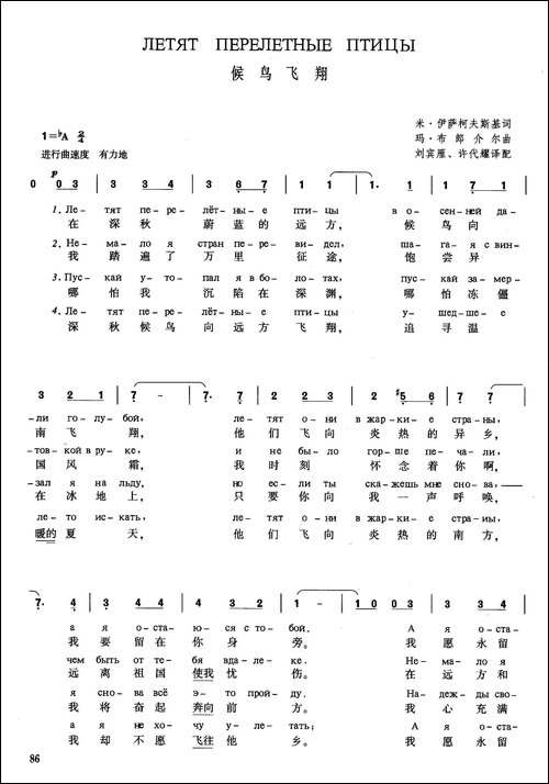 [俄]候鸟飞翔
