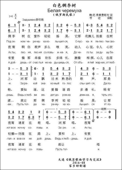 [俄]白色稠李树