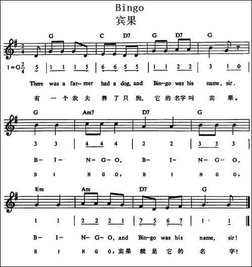 Bingo-宾果