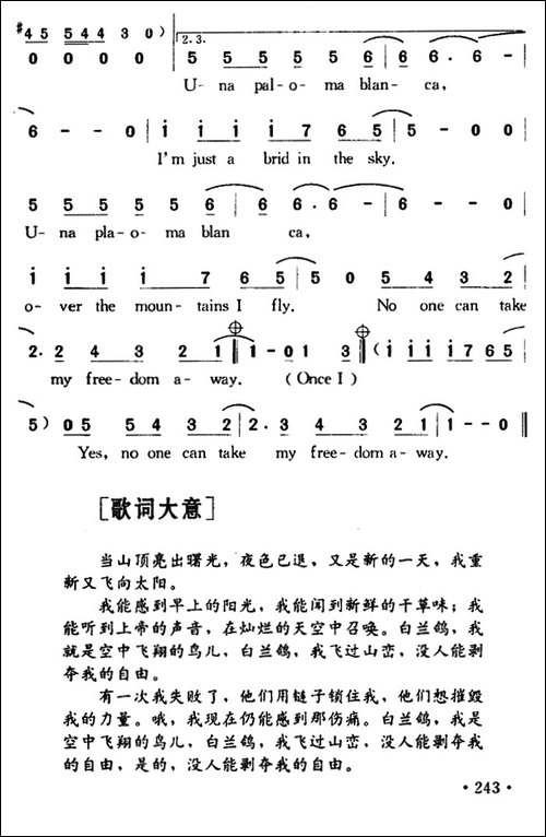 Paloma-Blanca-白兰鸽