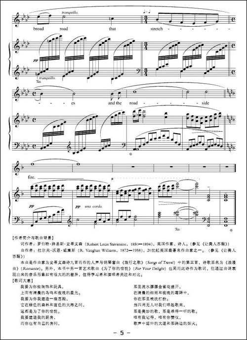 路边的烟火-正谱-[英]