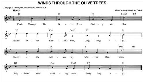 WINDS-THROUGH-THE-OLIVE-TREES