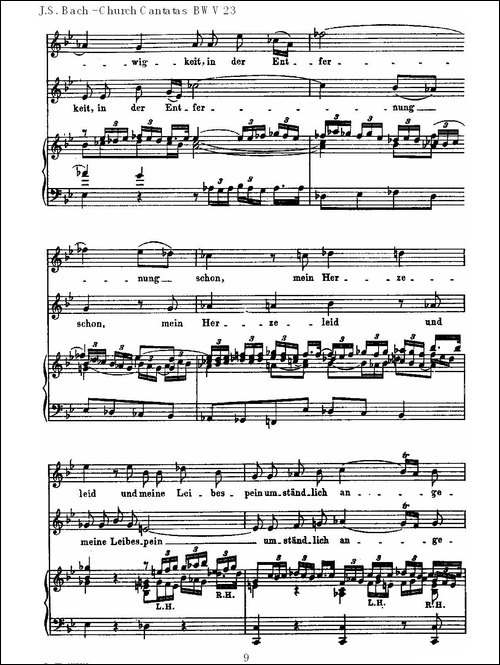 Du-wahrer-Gott-und-Davids-sohn-真正的上帝的大卫之子