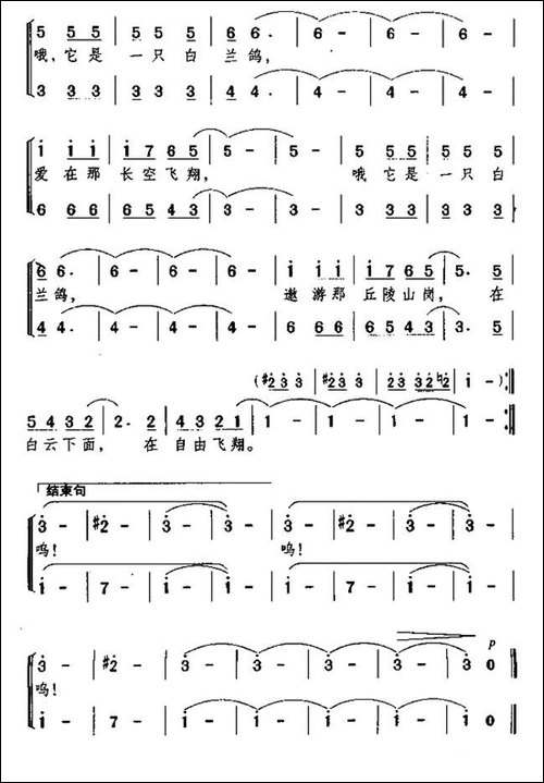 [美]白兰鸽