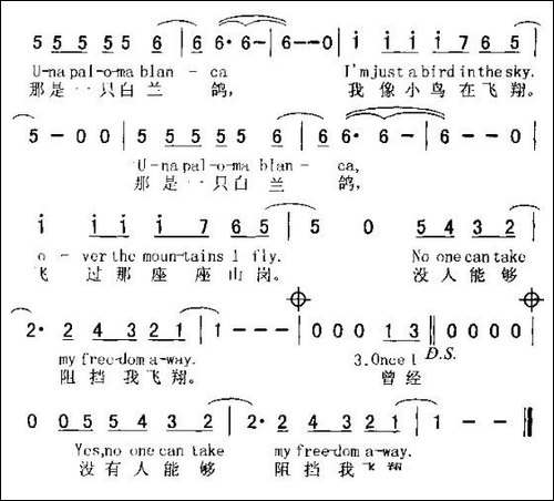 PALOMA-BLANCA-白兰鸽--中英文对照版