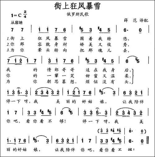 街上狂风暴雪-俄