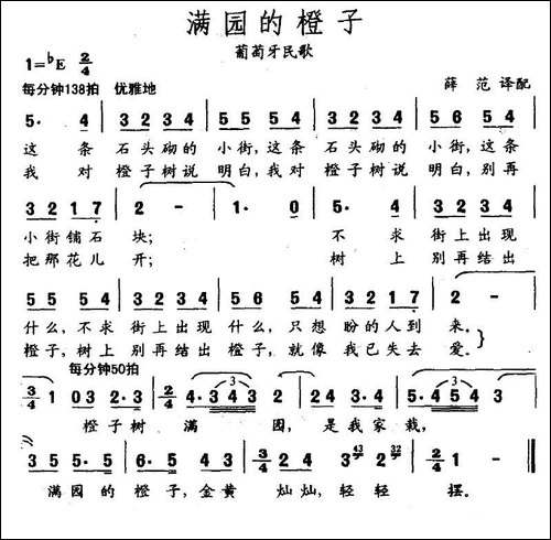 满园的橙子-葡萄牙