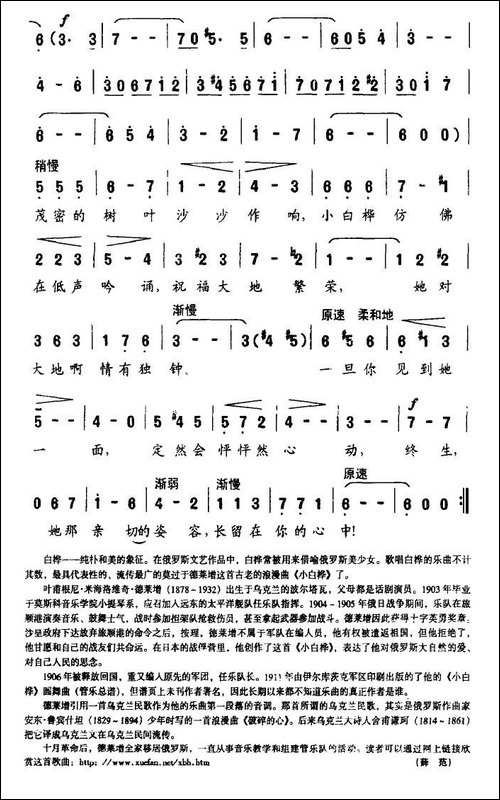 小白桦-俄