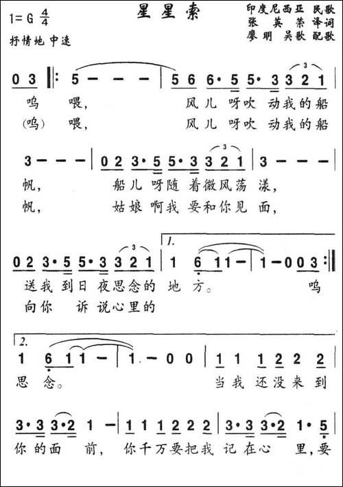 [印尼]星星索