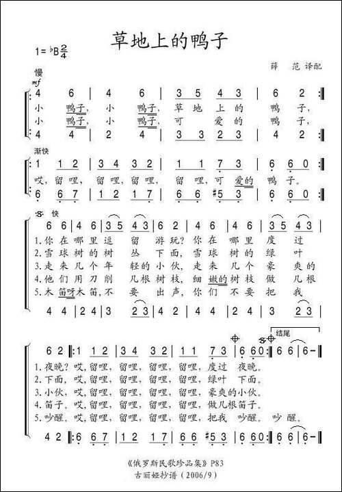 草地上的鸭子-俄
