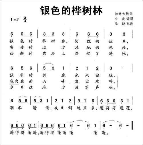 [加拿大]-银色的桦树林