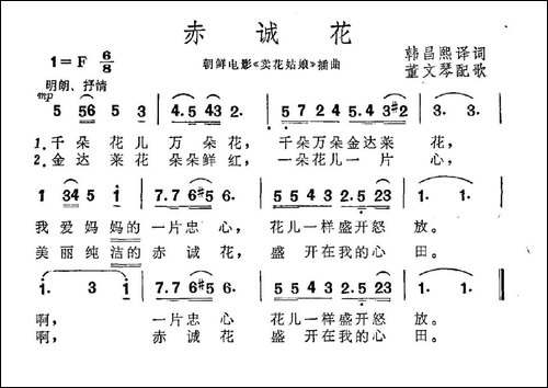 [朝鲜]-赤诚花