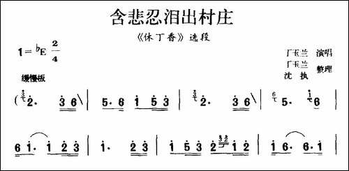 [庐剧]含悲忍泪出村庄-《休丁香》选段