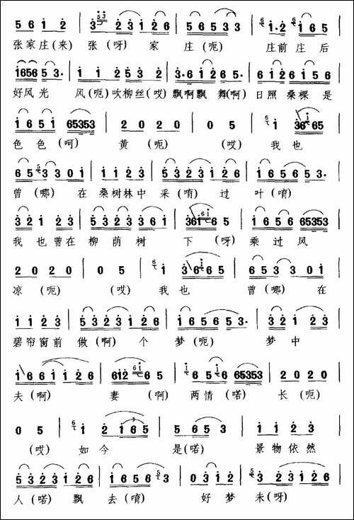 [庐剧]含悲忍泪出村庄-《休丁香》选段