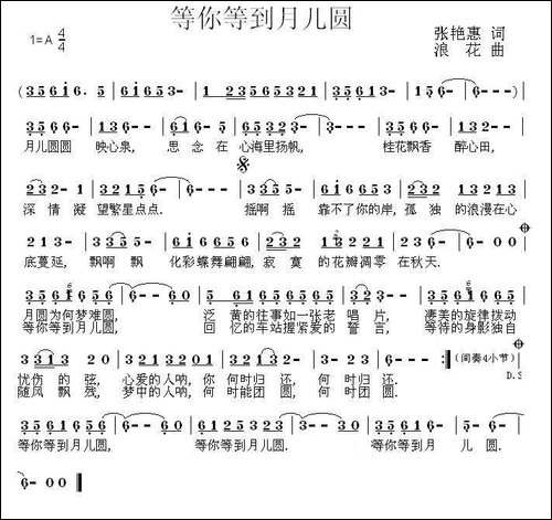 等你等到月儿圆