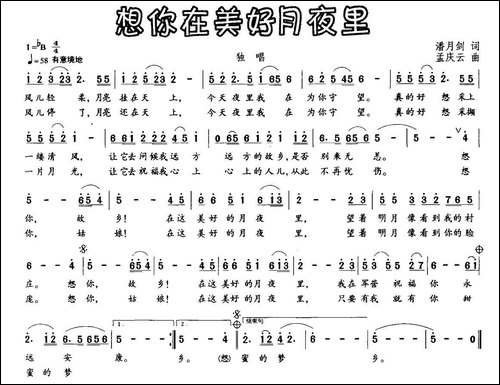 想你在美好月夜里