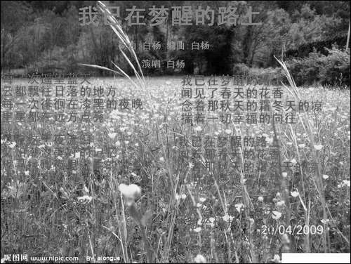我已在梦醒的路上