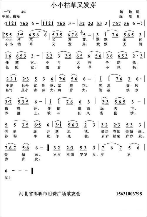 小小枯草又发芽