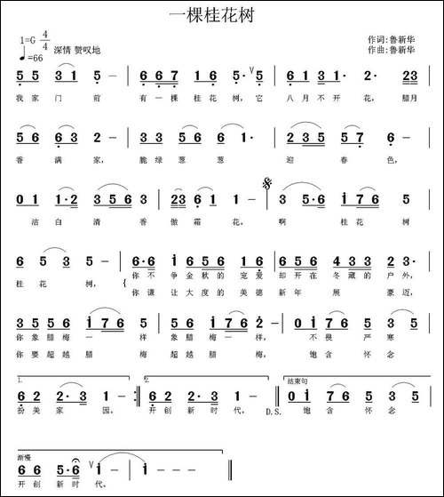 一棵桂花树
